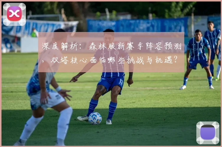 深度解析：森林狼新赛季阵容预测，双塔核心面临哪些挑战与机遇？