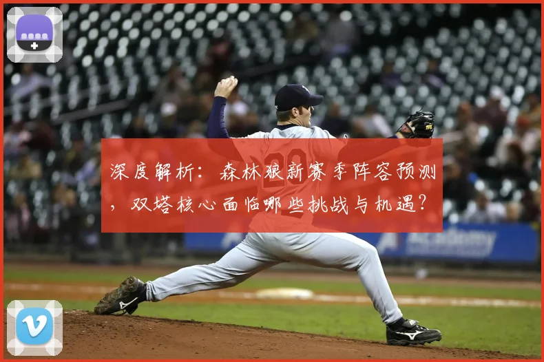 深度解析：森林狼新赛季阵容预测，双塔核心面临哪些挑战与机遇？