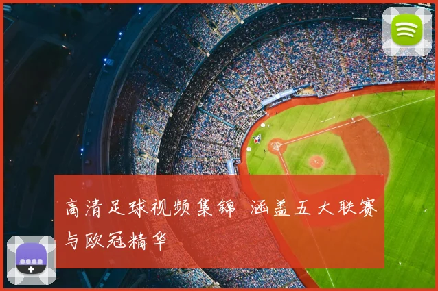 高清足球视频集锦  涵盖五大联赛与欧冠精华