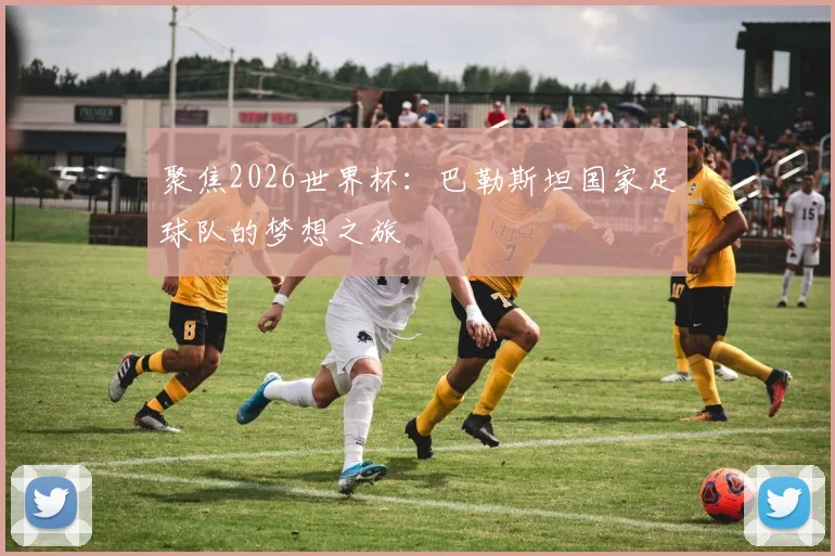 聚焦2026世界杯：巴勒斯坦国家足球队的梦想之旅